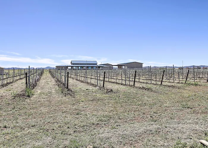 Modern Home: Walk To Wineries + Pets Welcome *