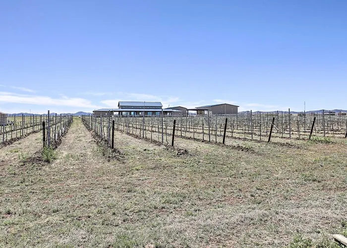 Modern Home: Walk To Wineries + Pets Welcome